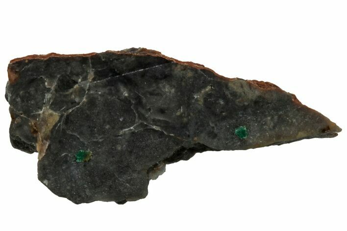 NWA Lunar Meteorite ( g) Slice #307578